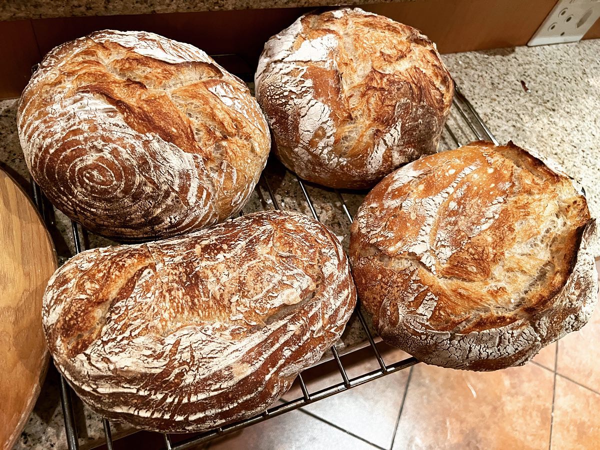 Vier boerebrode op 'n afkoelrak